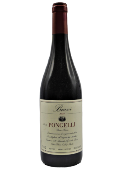 Villa Bucci, Tenuta Pongelli, Rosso Piceno 2020